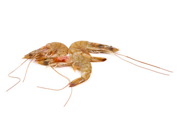 Shrimps, isolated on white background.