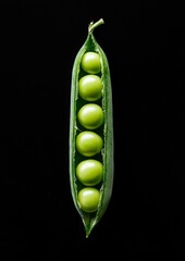 A neatly opened green pea pod revealing perfectly aligned peas inside, set against a black background, emphasizes the simplicity and beauty of fresh produce.