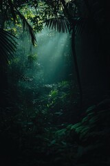 Fototapeta premium Sunlight filtering through jungle foliage