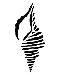 black and white sketch of sea snail © Rian Sunandri