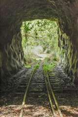 Beautiful But Abandoned Mianyue Line Railway With Tunnels And Thousand People Cave (Qianrendong) At The Hiking Trail To Water Forest (Shuiyang Forest), Alishan National Scenic Area, Chiayi,Taiwan