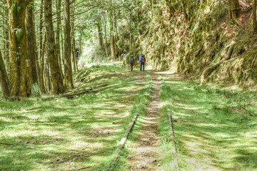 Beautiful But Abandoned Mianyue Line Railway With Tunnels And Thousand People Cave (Qianrendong) At The Hiking Trail To Water Forest (Shuiyang Forest), Alishan National Scenic Area, Chiayi,Taiwan