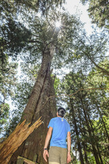 Beautiful But Abandoned Mianyue Line Railway With Tunnels And Thousand People Cave (Qianrendong) At The Hiking Trail To Water Forest (Shuiyang Forest), Alishan National Scenic Area, Chiayi,Taiwan