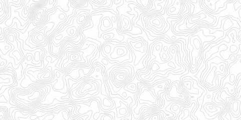 Lines map seamless topographic contour lines vector pattern. Geographic map and topographic contours map background. Vector illustration. White wave paper reliefs.	