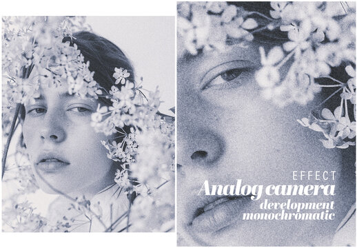 Effect Photography Analog Development Grainy Monochromatic