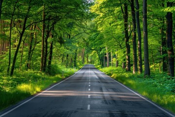 Fototapeta premium Scenic road lined with trees forest in distance