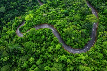 Fototapeta premium Scenic road trip through thick woods viewed from above
