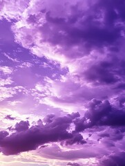 Obraz premium Plane in Purple Cloudy Sky