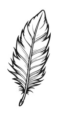 Black Cartoon Feather Monochrome Hand Drawn Line Vector