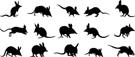 Set bilby animal silhouette vector illustration