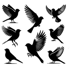 Birds Silhouette Set Featuring Various Poses and Styles | Graceful and Versatile Design | Flat Vector Illustration