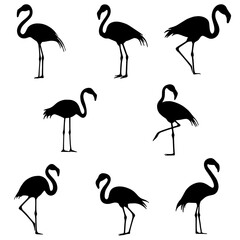 Obraz premium Elegant Flamingo Silhouette Set Featuring Various Poses and Stances | Stylish and Versatile Design | Flat Vector Illustration