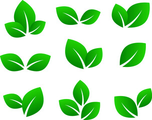 Set of green leaves icons, vector illustration