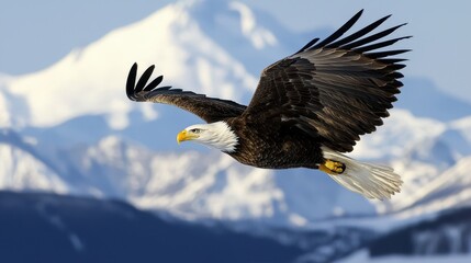 Obraz premium Close-up of an eagle flying high above a mountain peak, wings spread wide, clear blue sky.