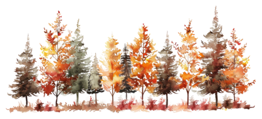PNG Autumn watercolor forest illustration
