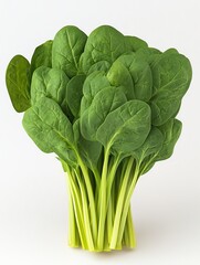 Fresh spinach leaves on a dark background.