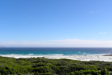 Fototapeta premium At the Coast