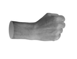 Clenched fingers, knuckle, fist aside, side view, isolated on white background..