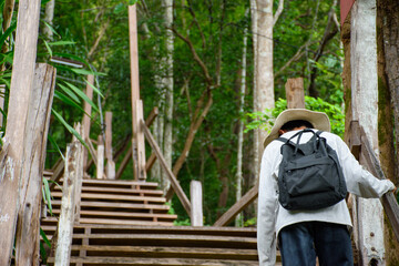 Back view of a hiker man walking on wooden stair to climb mountain with beautiful forest in the background, children with backpack and hiking hat walking up mountain, concept of travel and adventure.