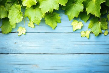 Fresh green grapevine leaves rustic blue wooden background