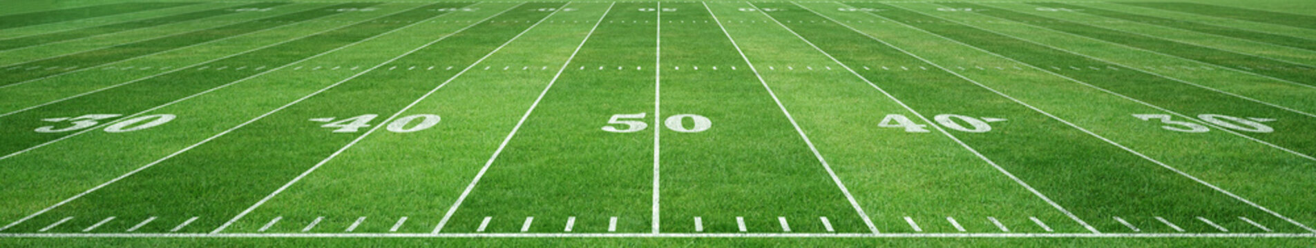 American football field 