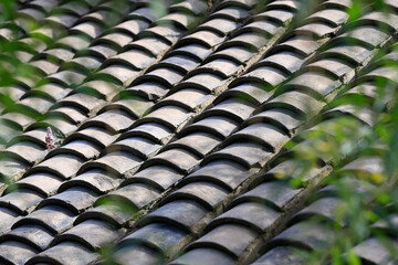 Tiles on ancient buildings, close-up photos