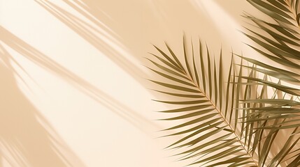 Fototapeta premium Minimalist palm leaf shadow on beige background with copy space.