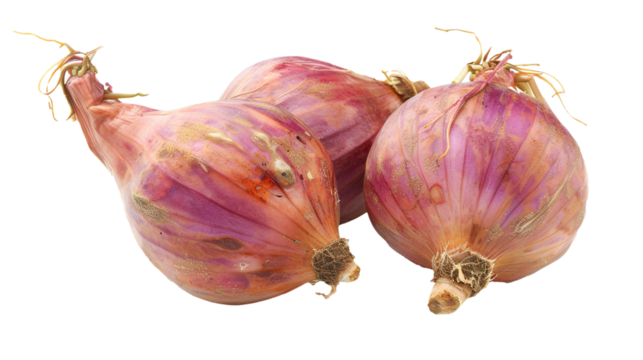 Shallot isolated on transparent background, PNG