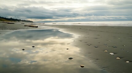 Desolate Beach at Low Tide with Reflective Wet Sand, Scattered Seashells, and Driftwood Along the Shoreline. AI generated illustration