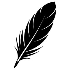 Obraz premium Feather silhouette vector illustration