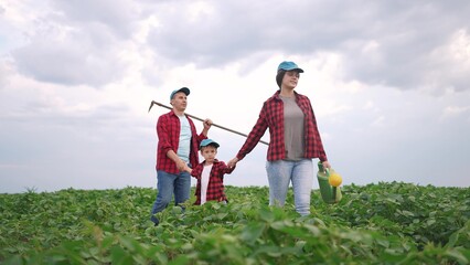 A family of three walks through a soybean field. Farmer farm agriculture concept. Family farmers working on soybeans in the field. Family lifestyle farmers working on soybeans in a field walking.