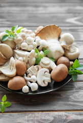 Assortment of various mushrooms
