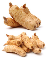  Fresh Gastrodia elata blume on white background