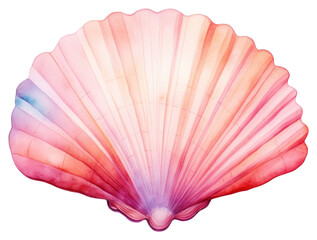 PNG Watercolor shell clam white background.