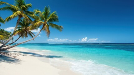 A serene beach scene with palm trees and turquoise water under a clear blue sky.