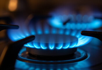 A burner on a gas stove with blue flame.