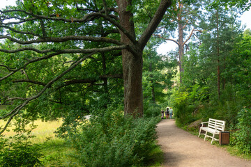 Vyborg, Russia - July 25, 2024 : Streets, sights of a beautiful ancient city.