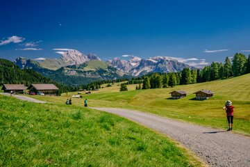 Alpe Altopiano di Siusi