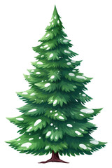 Fototapeta premium PNG Christmas tree plant pine fir.