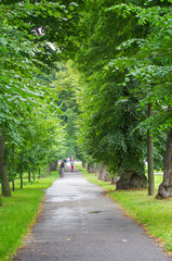Blurred defocused people are walking in the park.