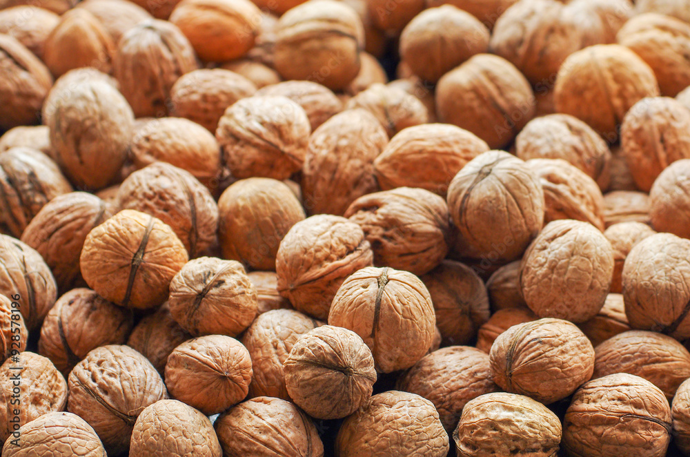 Wall mural Top view of whole walnuts as background texture