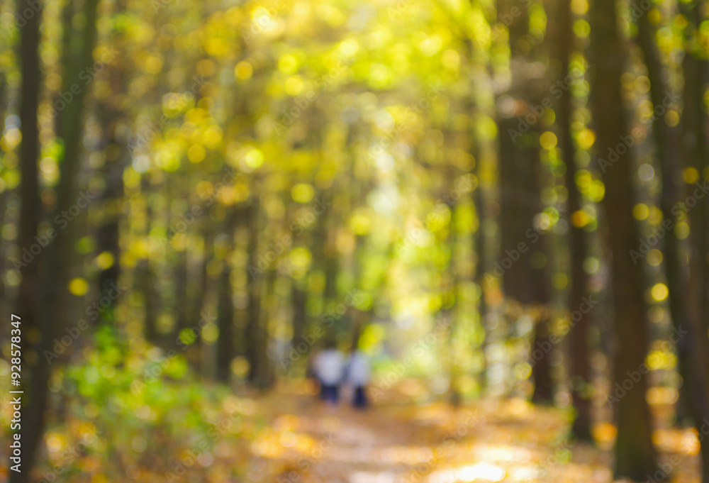 Wall mural autumn golden forest, blured background.