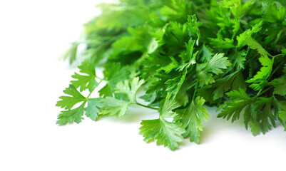 Parsley isolated on white background