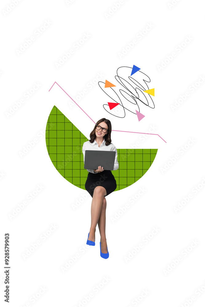 Poster image 3d collage of professional worker smiling lady sitting analyzing statistics isolated on drawin