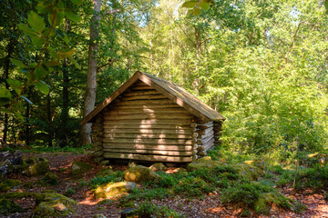 Alte Blockhütte steht mitten im grünen Wald