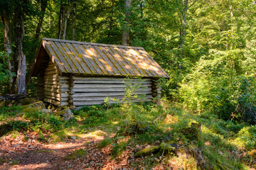 Alte Blockhütte in einem grünen Wald in Schweden