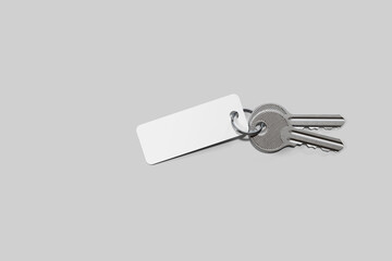 Key tag with keys mockup. 3D rendering