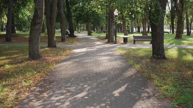 summer background tranquil scene city park slow moving on the footpath