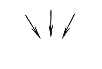 Black arrows isolated on white background