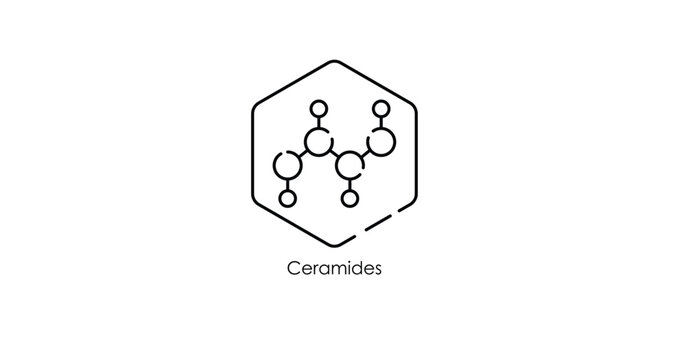 Ceramide Molecule Structure Vector Illustration Icon